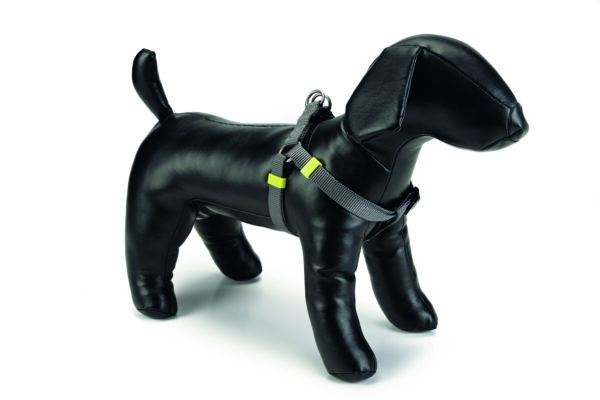 Beeztees rakmed koerale 46-75cm x20mm tumehall universaalne nailon