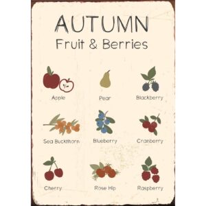 Silt Autumn Fruit & Berries 14x h20cm kreem