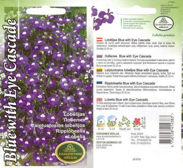 Lobeelia 'Blue with Eye Cascade'