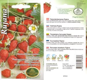 Kuumaasikas ‘Rujana’