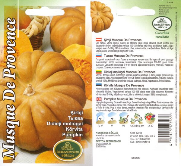 Muskuskõrvits 'Musqat de Provence'