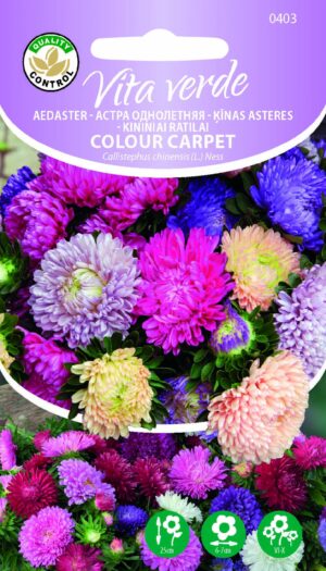 Aedaster ‘Colour Carpet’ segu