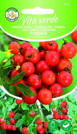 Tomat ‘Pokusa’