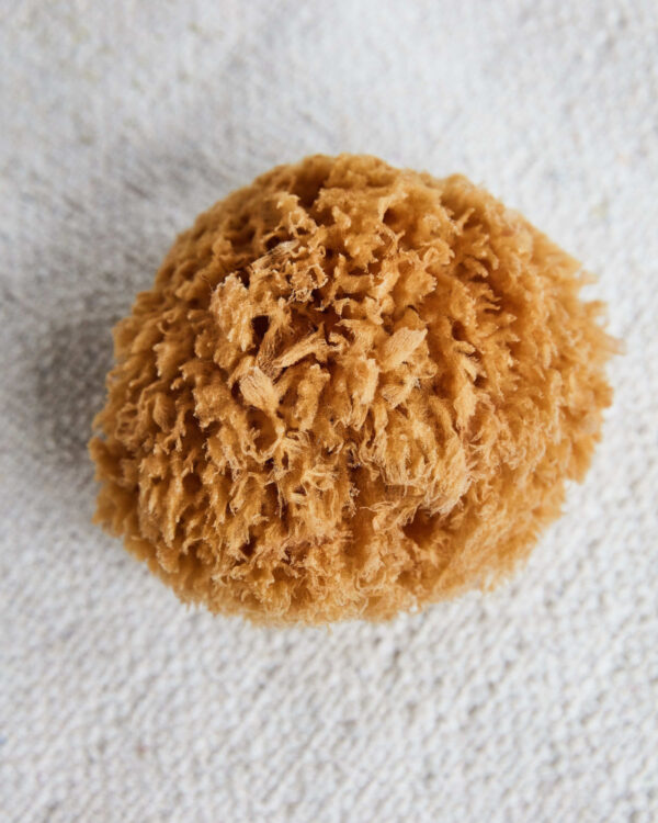 Pesukäsn Bahamas 11,4x 13cm