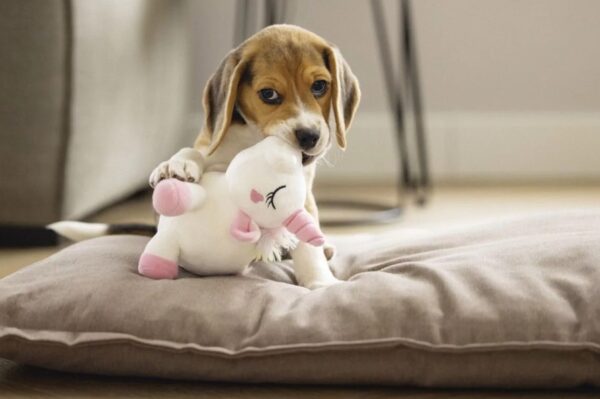 Mänguasi koerale ükssarvik Owen 18x15x11,5cm roosa