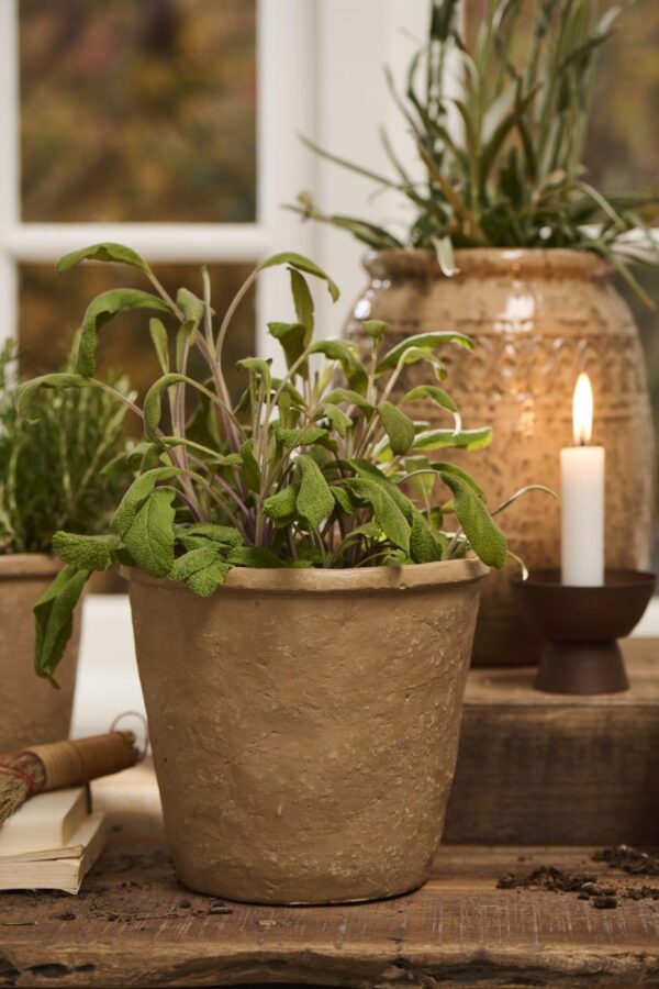 Lillepott Ib Laursen Saga Ø18,3xH17cm, pruun