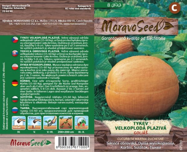 Suureviljaline kõrvits 'Goliaš'