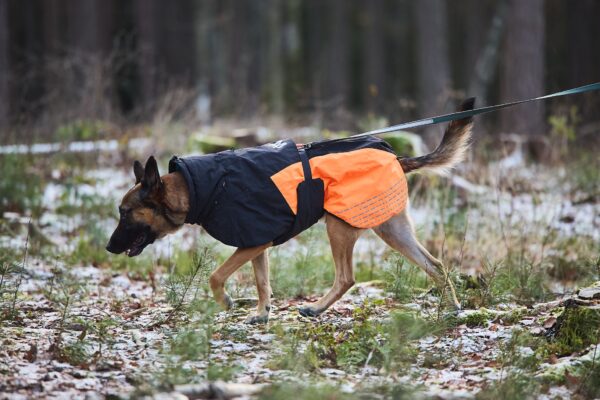 Jope Glacier 2.0, suurus 50 must/oranz