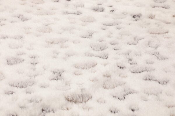 Pleed Tassut 75x100cm