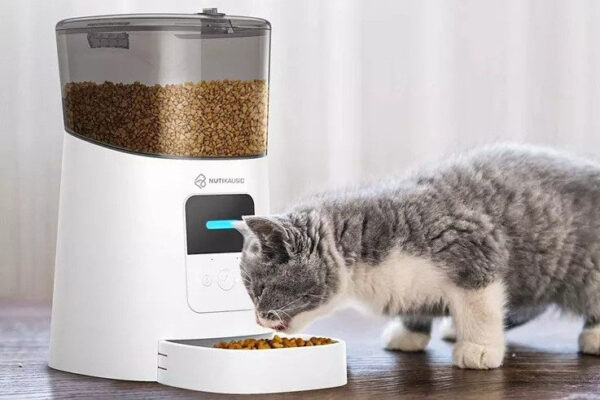 Nutikauss Pearl 6L valge