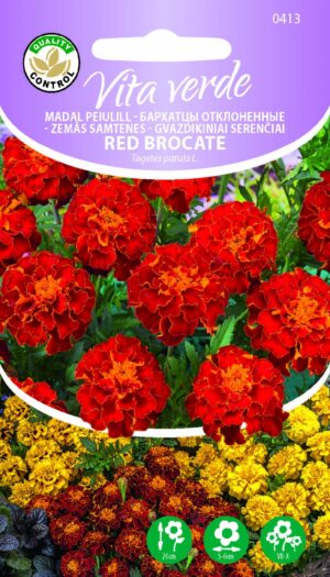 Madal peiulill ‘Red Brocate’