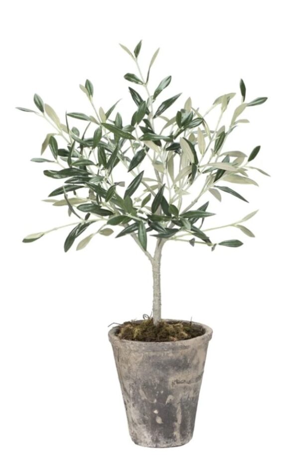 Kunstoliivipuu Flora H44 cm