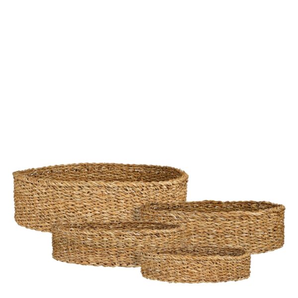 Korv Dave d34x h8cm h.pruun