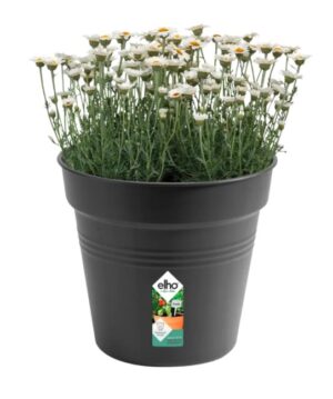 Istutuspott Green Basics 30x28cm tumehall
