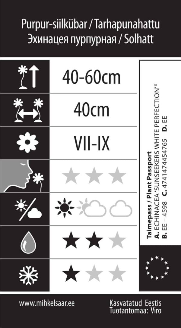 Punane siilkübar 'Sunseekers White Perfection' P19 Eestis kasvatatud
