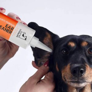 Seenevastane kõrvapuhastusvahend Dogslife 237ml