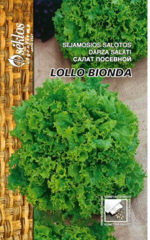 Lehtsalat ‘Lollo Bionda’