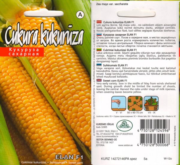 Suhkrumais 'Elan' F1 5g