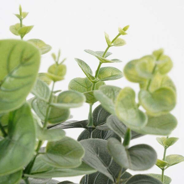 Kunsttaim eukalüpt potis d23x h53cm roheline