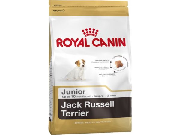 Kuivtoit Jack Russel Terrier junior  kutsikale 1,5kg