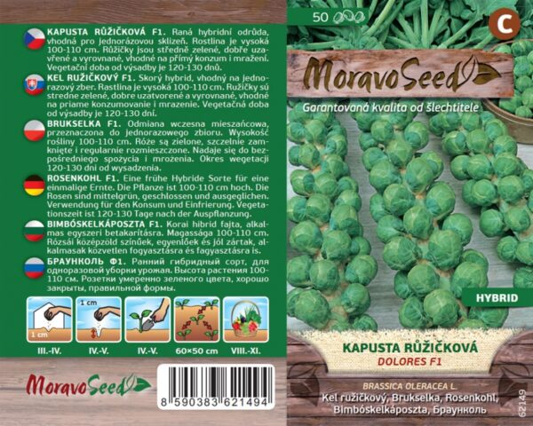 Rooskapsas 'Dolores' F1