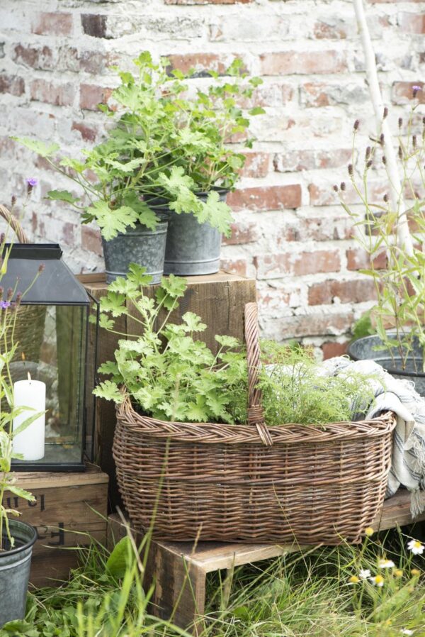 Alus/ kandik Unique 30x h16x 73cm puidust