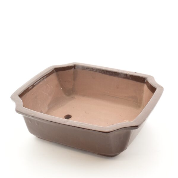 Bonsaipott 30,8x24,8x h9,2cm pruun