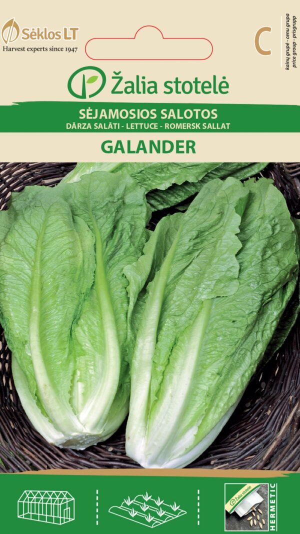 Rooma salat 'Galender'