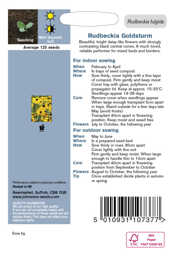 Sullivanti päevakübar 'Goldstrum' 125s