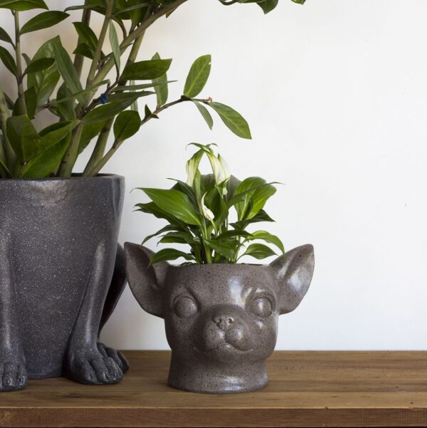 Lillepott Chihuahua pea 21x16x15cm