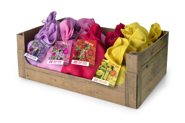 Kinkepakend violetsed toonid: gladiool, daalia, freesia 20tk