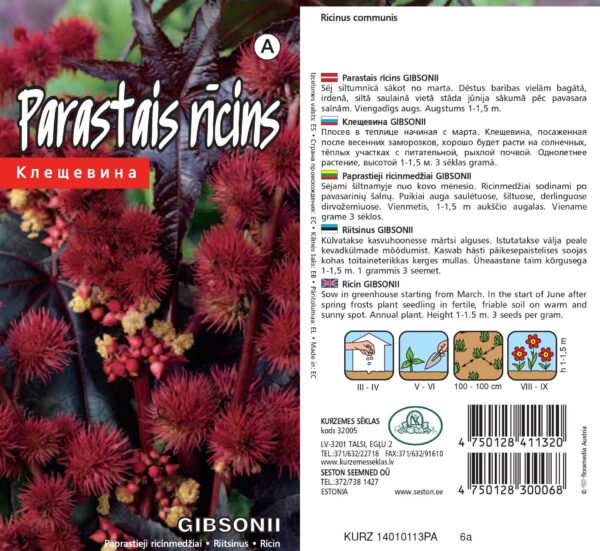 Riitsinus 'Gibsonii'