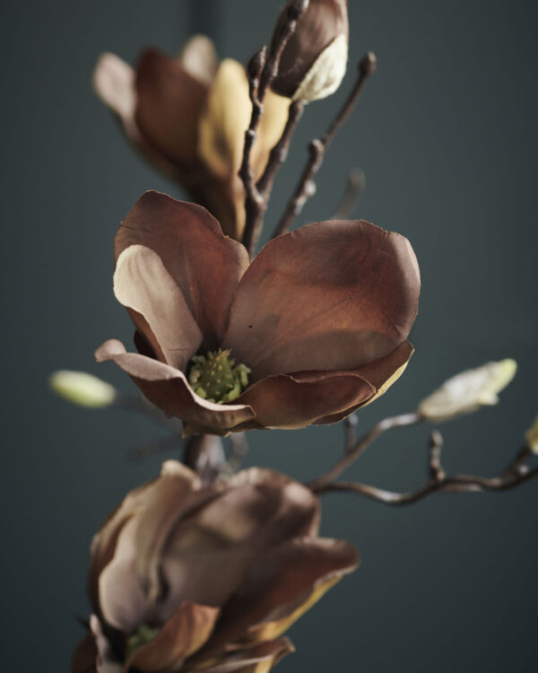 Kunstlill Magnoolia 85cm pruun
