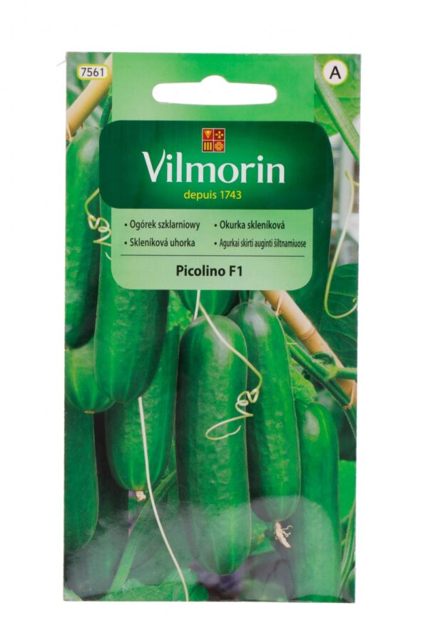 Kurk 'Picolino' F1
