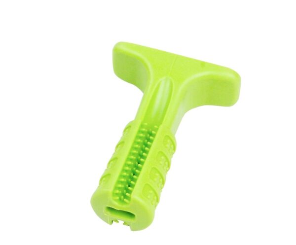 Mänguasi Tooth Brush Chewy - M