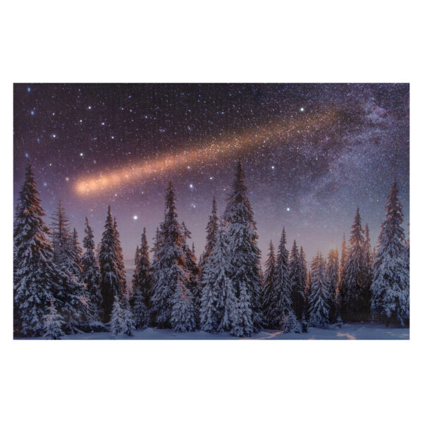 Seinapilt 3LED lumine mets 58x38x1,8cm pat.