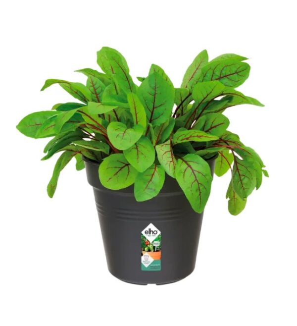 Istutuspott Green Basics 19x17cm tumehall