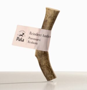 Pala põhjapõdra sarv S