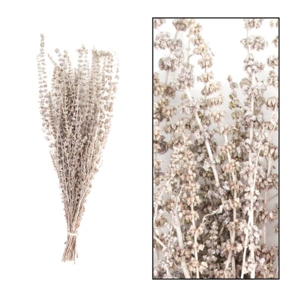 Kuivatatud okste kimp 50-65cm valge