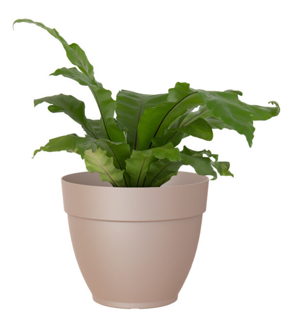 Lillepott Capri Campana 20cm taupe