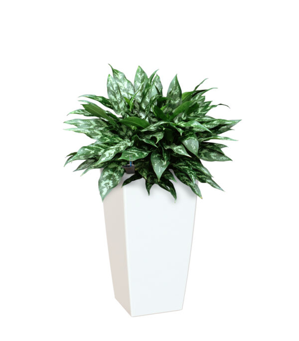 Lillepott altkastmissüsteemiga Pisa 78cm valge