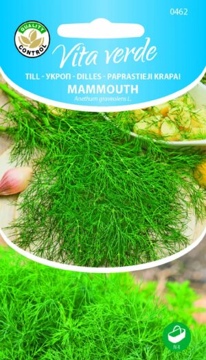 Aedtill ‘Mammouth’