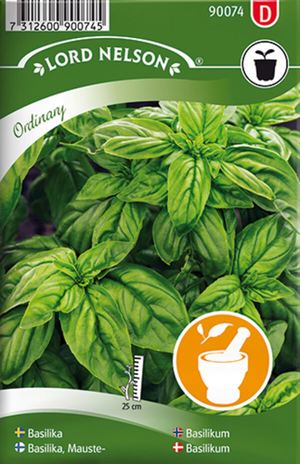Vürtsbasiilik 'Ordinary' 300s