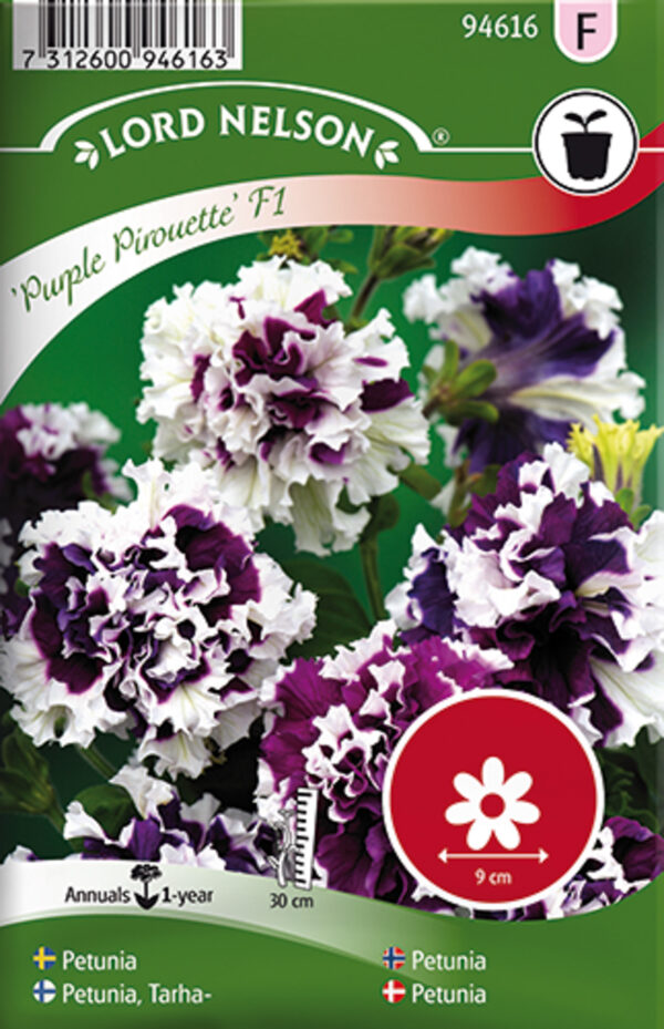 Petuunia 'Purple Pirouette' F1