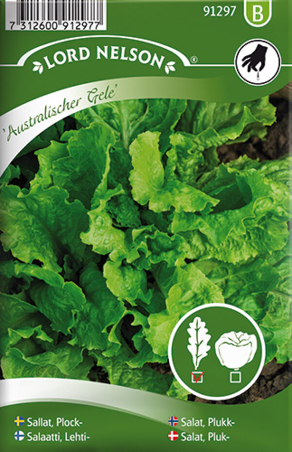 Lehtsalat 'Australian Green'