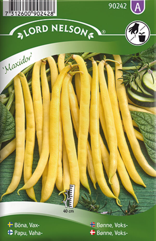 Või-aeduba 'Maxidor'