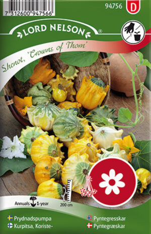 Dekoratiivkõrvits ‘Crown of Thorns’