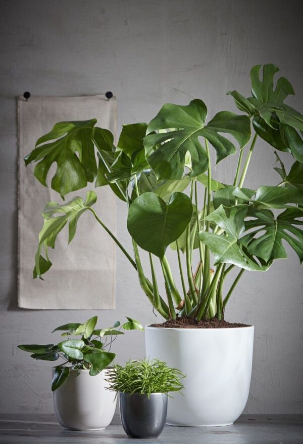 Lillepott Tusca Ø22,5x h20cm valge