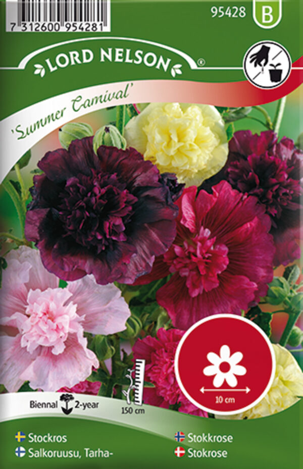 Tokkroos 'Summer Carnival'