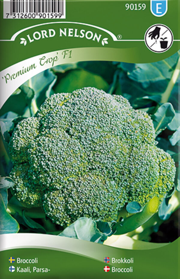 Spargelkapsas 'Premium Crop' F1